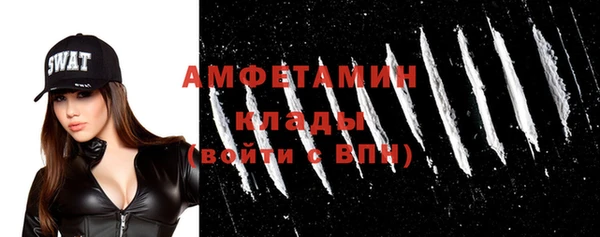 твердый Абаза