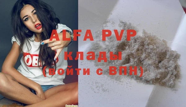твердый Абаза