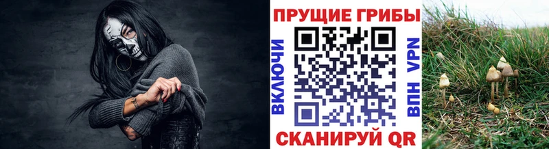 Псилоцибиновые грибы MAGIC MUSHROOMS  Калач 
